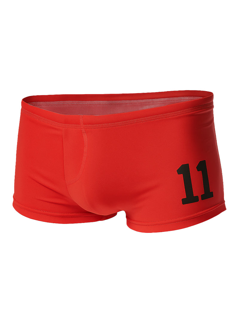 PRIDE 11 BRIEF